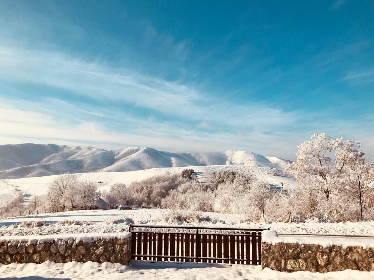 Zlatibor Cottages Zlatibor
